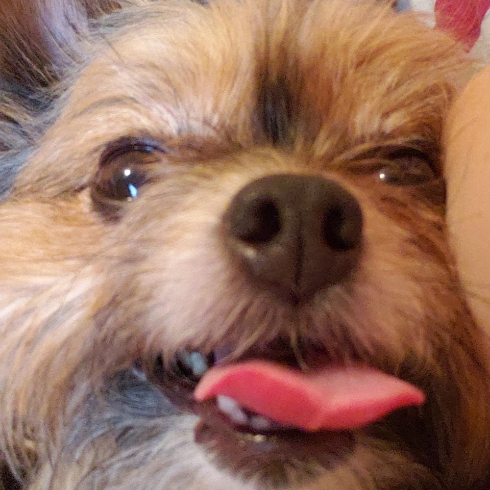 Meet your Posher, Aja